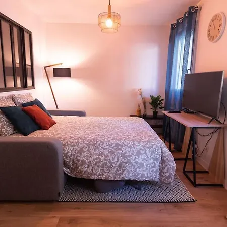 Apartamento Le Cocon-t2-40m2-centre 10min *